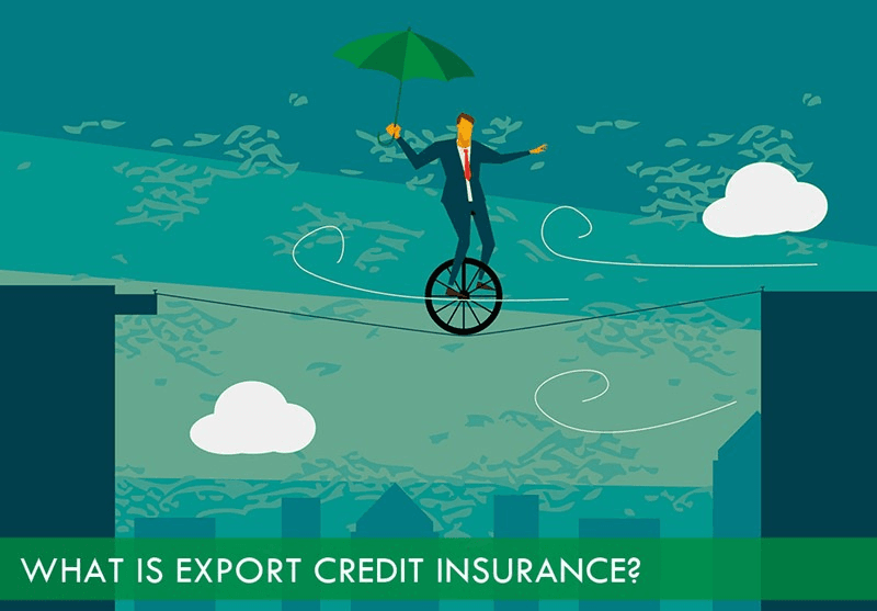 what-is-export-credit-insurance-1571738165124288960782