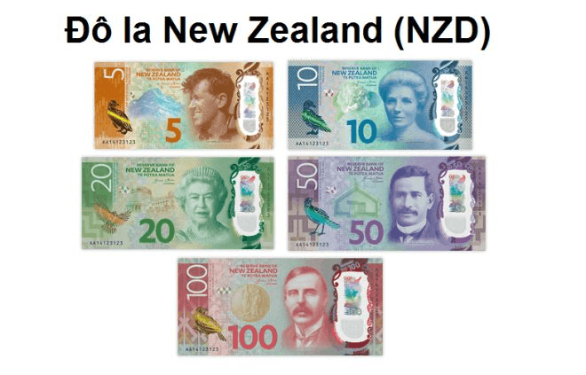 do-la-newzealand