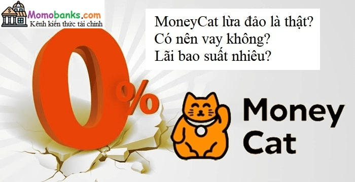 moneycat-co-lua-dao-khong