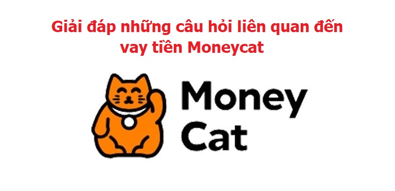 Giai-dap-nhung-cau-hoi-lien-quan-den-vay-tien-Moneycat