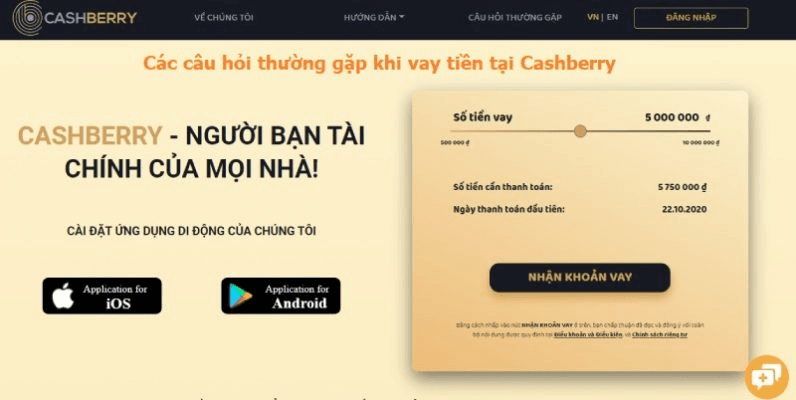 Cac-cau-hoi-thuong-gap-khi-vay-tien-tai-Cashberry-796x400